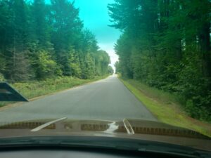 Join me on the Journey Image of road traveling between two lines of late August Trees