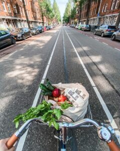 Image of bicycle handles with a basket of veggies on front heading down a road.